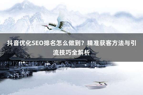 抖音优化SEO排名怎么做到？精准获客方法与引流技巧全解析