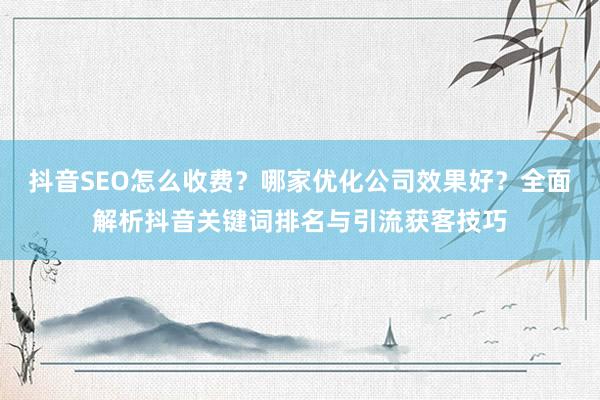 抖音SEO怎么收费？哪家优化公司效果好？全面解析抖音关键词排名与引流获客技巧