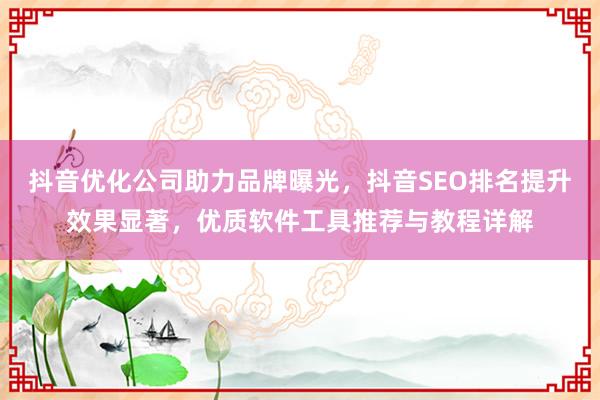抖音优化公司助力品牌曝光，抖音SEO排名提升效果显著，优质软件工具推荐与教程详解