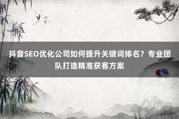 抖音SEO优化公司如何提升关键词排名？专业团队打造精准获客方案