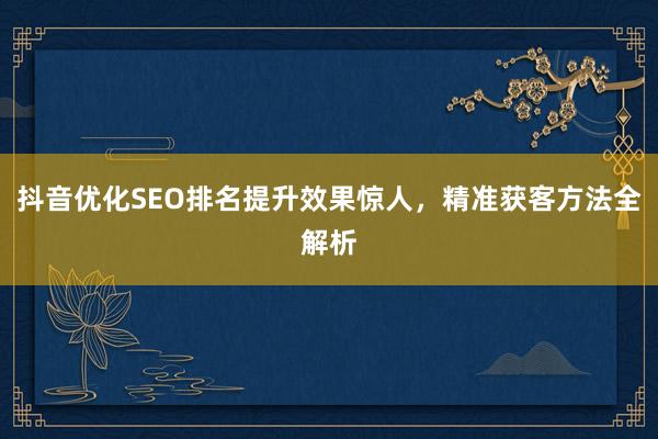 抖音优化SEO排名提升效果惊人，精准获客方法全解析