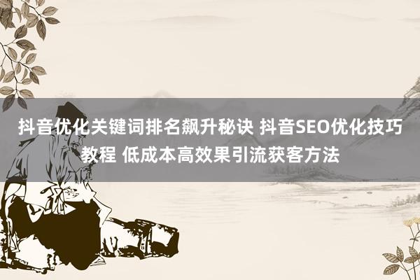 抖音优化关键词排名飙升秘诀 抖音SEO优化技巧教程 低成本高效果引流获客方法