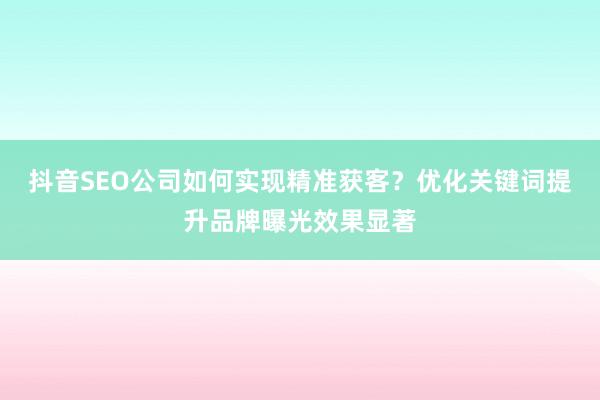 抖音SEO公司如何实现精准获客？优化关键词提升品牌曝光效果显著