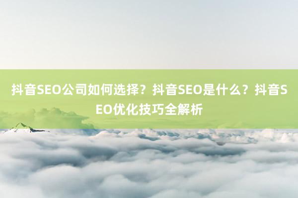 抖音SEO公司如何选择？抖音SEO是什么？抖音SEO优化技巧全解析