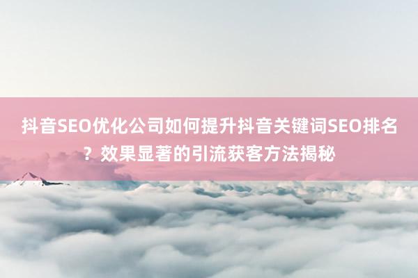 抖音SEO优化公司如何提升抖音关键词SEO排名？效果显著的引流获客方法揭秘
