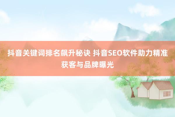 抖音关键词排名飙升秘诀 抖音SEO软件助力精准获客与品牌曝光