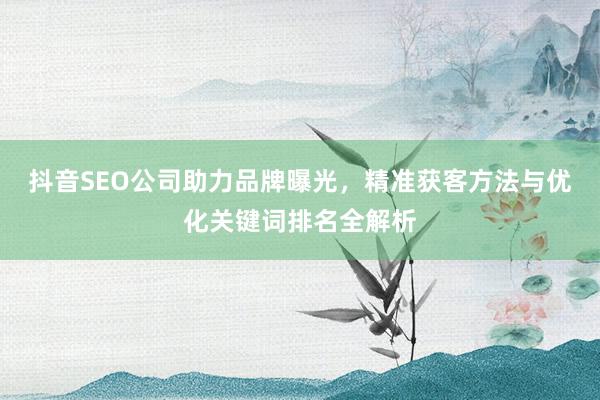抖音SEO公司助力品牌曝光，精准获客方法与优化关键词排名全解析