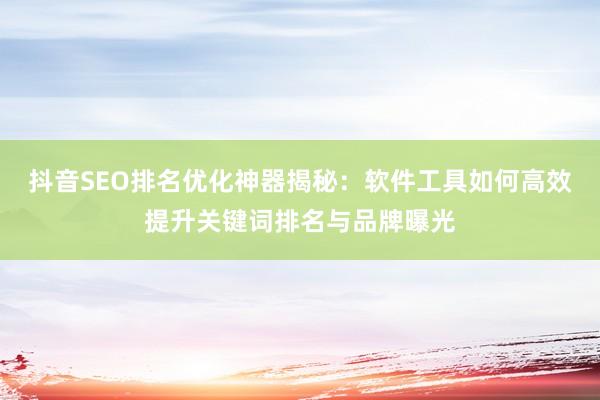 抖音SEO排名优化神器揭秘：软件工具如何高效提升关键词排名与品牌曝光
