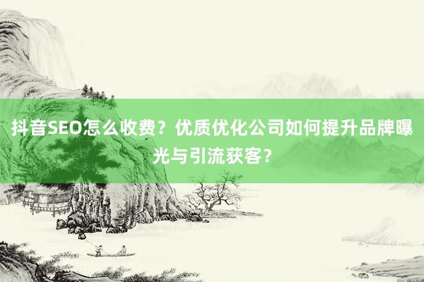抖音SEO怎么收费？优质优化公司如何提升品牌曝光与引流获客？
