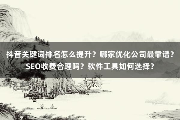 抖音关键词排名怎么提升？哪家优化公司最靠谱？SEO收费合理吗？软件工具如何选择？