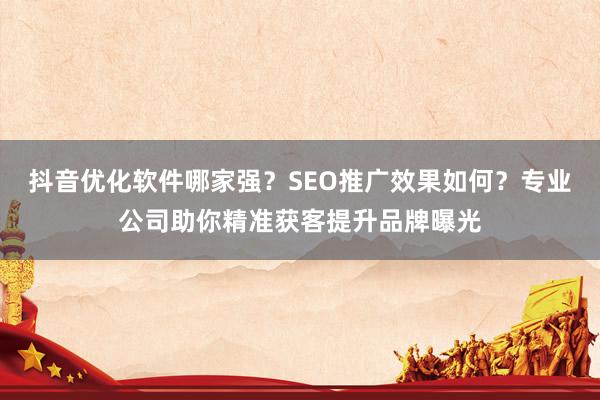 抖音优化软件哪家强？SEO推广效果如何？专业公司助你精准获客提升品牌曝光