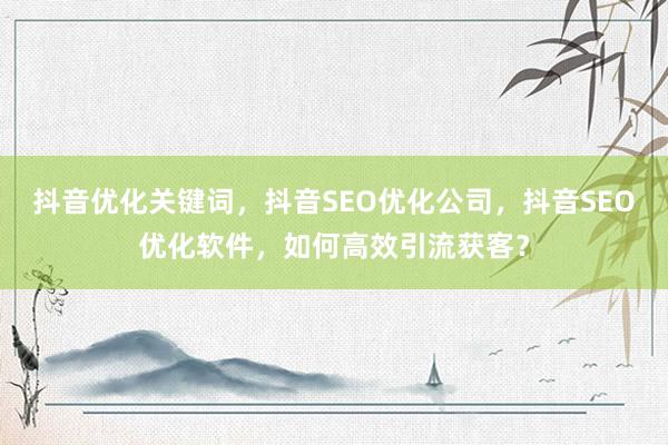 抖音优化关键词，抖音SEO优化公司，抖音SEO优化软件，如何高效引流获客？