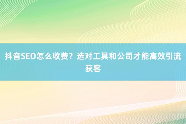 抖音SEO怎么收费？选对工具和公司才能高效引流获客