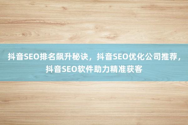 抖音SEO排名飙升秘诀，抖音SEO优化公司推荐，抖音SEO软件助力精准获客