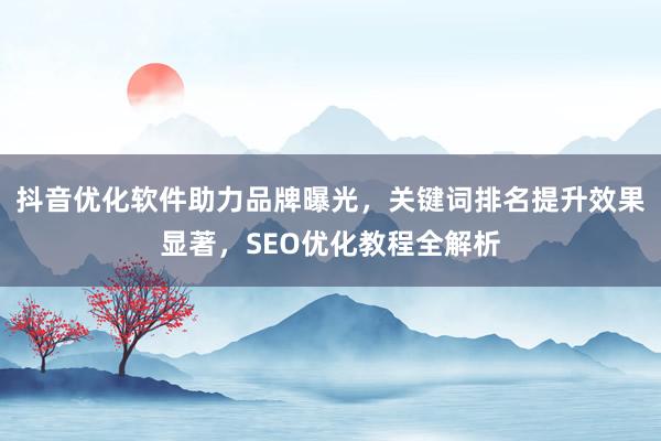 抖音优化软件助力品牌曝光，关键词排名提升效果显著，SEO优化教程全解析