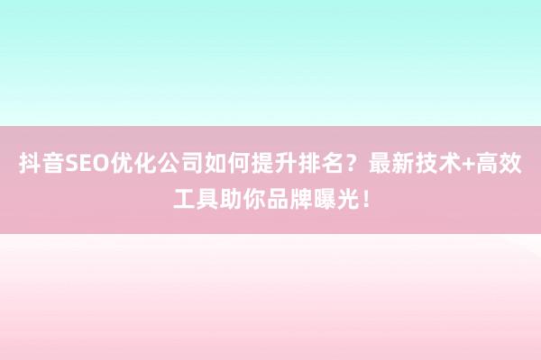抖音SEO优化公司如何提升排名？最新技术+高效工具助你品牌曝光！