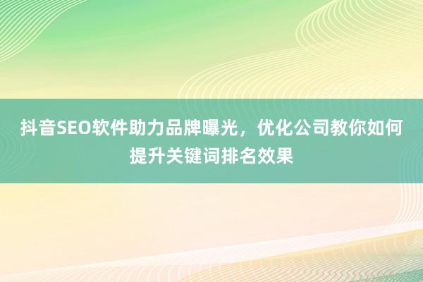 抖音SEO软件助力品牌曝光，优化公司教你如何提升关键词排名效果