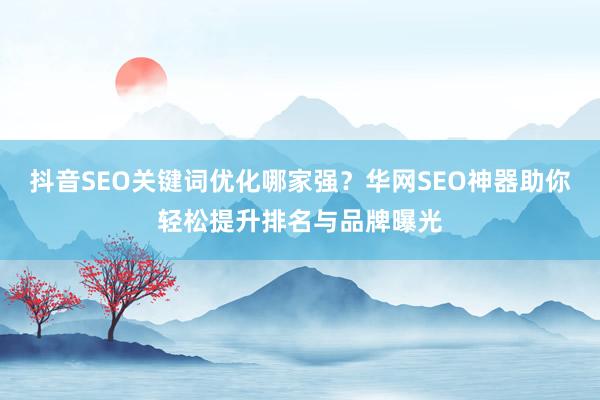 抖音SEO关键词优化哪家强？华网SEO神器助你轻松提升排名与品牌曝光