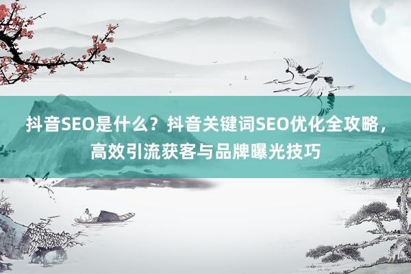 抖音SEO是什么？抖音关键词SEO优化全攻略，高效引流获客与品牌曝光技巧