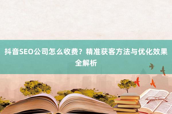抖音SEO公司怎么收费？精准获客方法与优化效果全解析