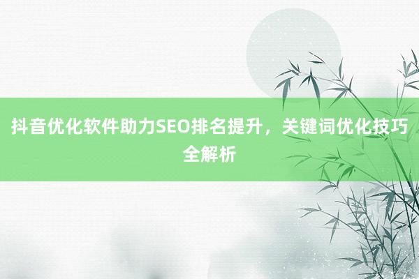 抖音优化软件助力SEO排名提升，关键词优化技巧全解析