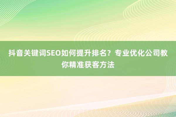 抖音关键词SEO如何提升排名？专业优化公司教你精准获客方法