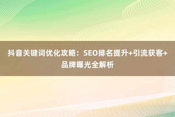 抖音关键词优化攻略：SEO排名提升+引流获客+品牌曝光全解析