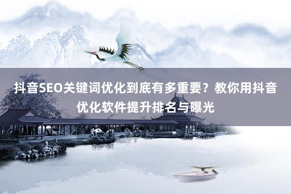 抖音SEO关键词优化到底有多重要？教你用抖音优化软件提升排名与曝光