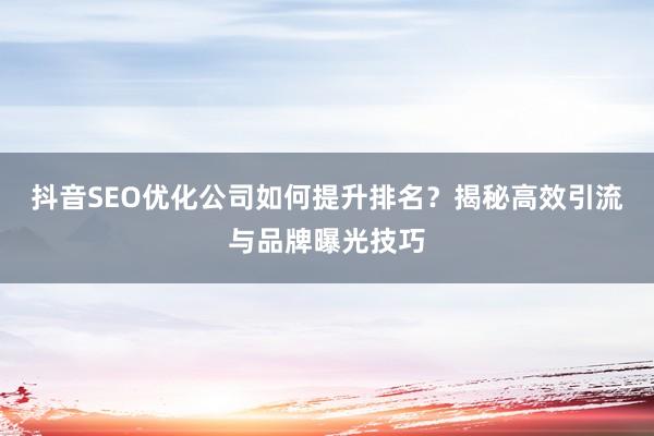 抖音SEO优化公司如何提升排名？揭秘高效引流与品牌曝光技巧
