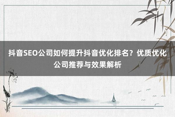 抖音SEO公司如何提升抖音优化排名？优质优化公司推荐与效果解析