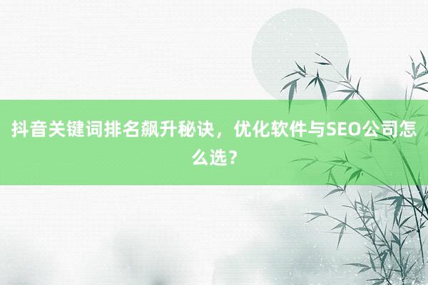 抖音关键词排名飙升秘诀，优化软件与SEO公司怎么选？