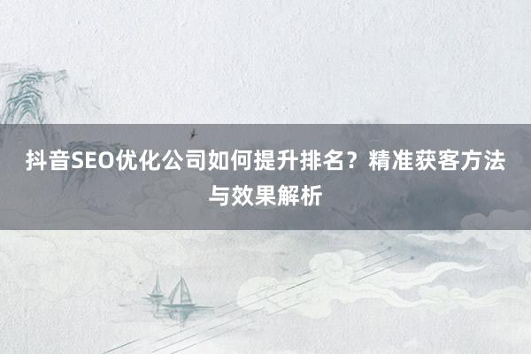 抖音SEO优化公司如何提升排名？精准获客方法与效果解析
