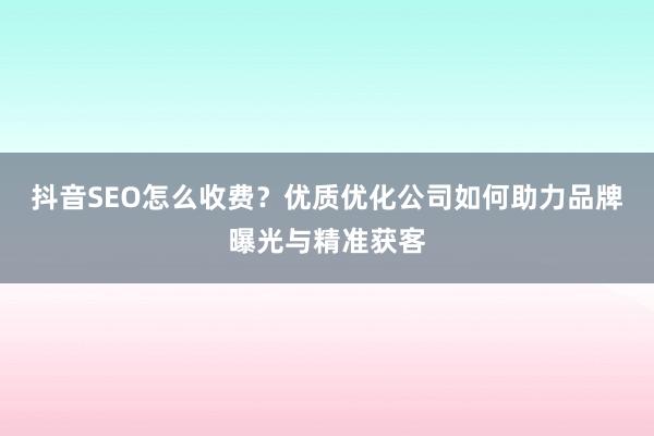 抖音SEO怎么收费？优质优化公司如何助力品牌曝光与精准获客