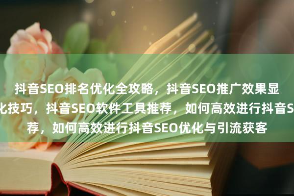 抖音SEO排名优化全攻略，抖音SEO推广效果显著，关键词SEO优化技巧，抖音SEO软件工具推荐，如何高效进行抖音SEO优化与引流获客