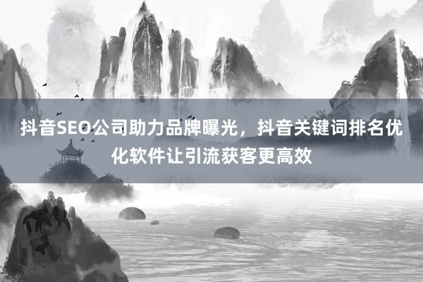 抖音SEO公司助力品牌曝光，抖音关键词排名优化软件让引流获客更高效