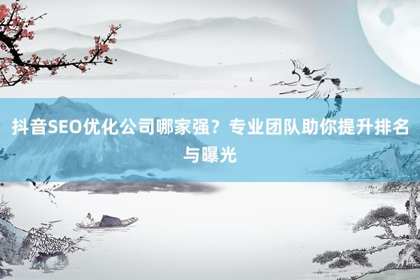 抖音SEO优化公司哪家强？专业团队助你提升排名与曝光