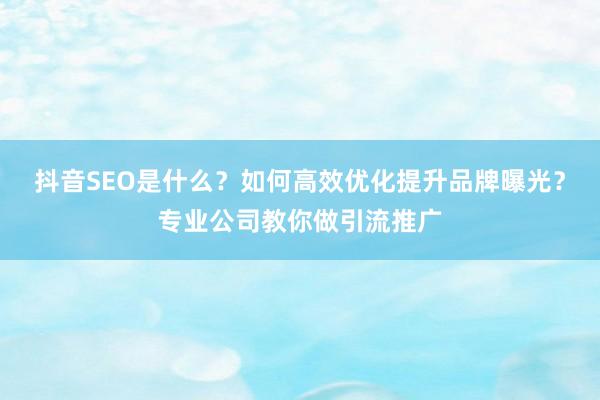 抖音SEO是什么？如何高效优化提升品牌曝光？专业公司教你做引流推广