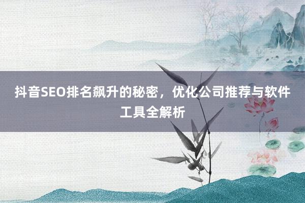 抖音SEO排名飙升的秘密，优化公司推荐与软件工具全解析