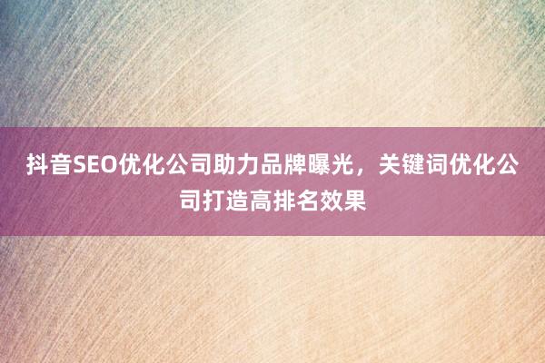 抖音SEO优化公司助力品牌曝光，关键词优化公司打造高排名效果