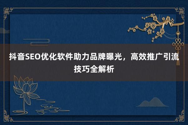 抖音SEO优化软件助力品牌曝光，高效推广引流技巧全解析