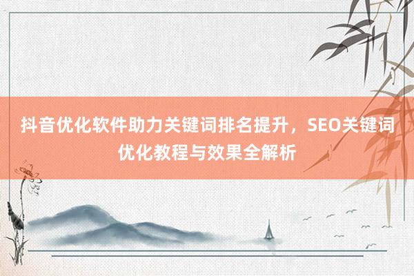 抖音优化软件助力关键词排名提升，SEO关键词优化教程与效果全解析