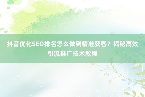 抖音优化SEO排名怎么做到精准获客？揭秘高效引流推广技术教程