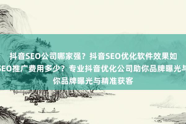 抖音SEO公司哪家强？抖音SEO优化软件效果如何？抖音SEO推广费用多少？专业抖音优化公司助你品牌曝光与精准获客
