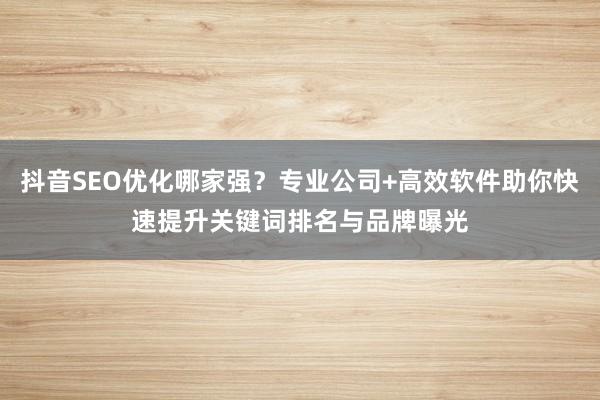 抖音SEO优化哪家强？专业公司+高效软件助你快速提升关键词排名与品牌曝光