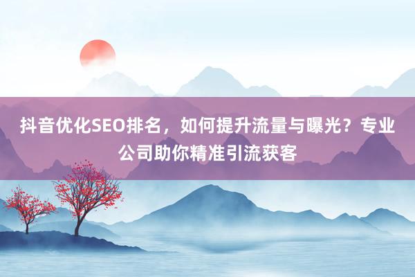 抖音优化SEO排名，如何提升流量与曝光？专业公司助你精准引流获客