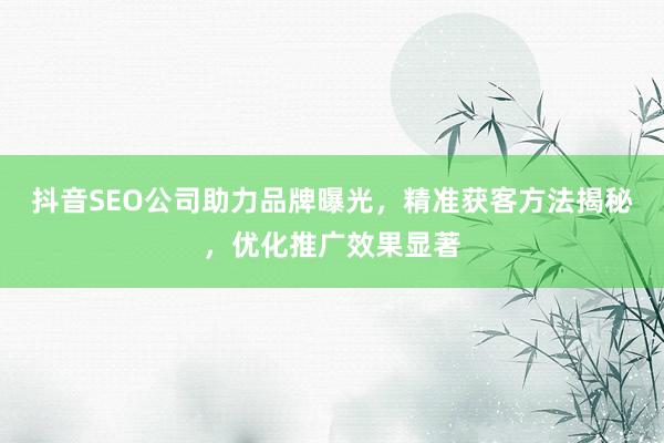 抖音SEO公司助力品牌曝光，精准获客方法揭秘，优化推广效果显著