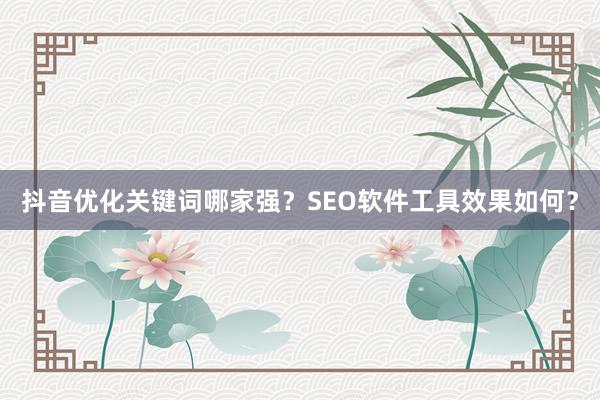抖音优化关键词哪家强？SEO软件工具效果如何？