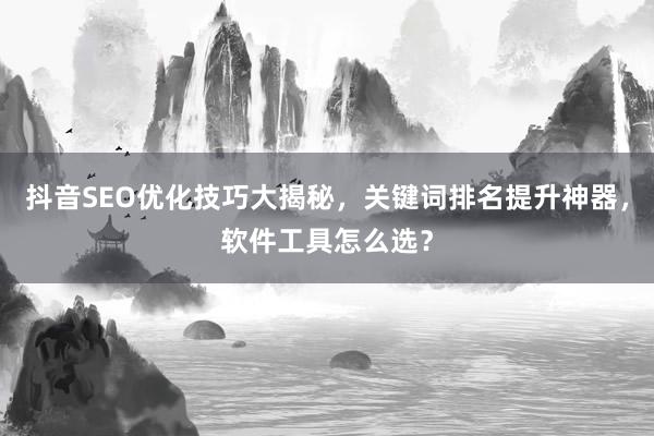 抖音SEO优化技巧大揭秘，关键词排名提升神器，软件工具怎么选？