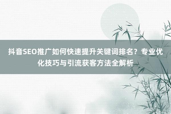 抖音SEO推广如何快速提升关键词排名？专业优化技巧与引流获客方法全解析