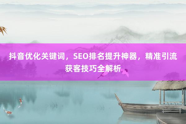 抖音优化关键词，SEO排名提升神器，精准引流获客技巧全解析